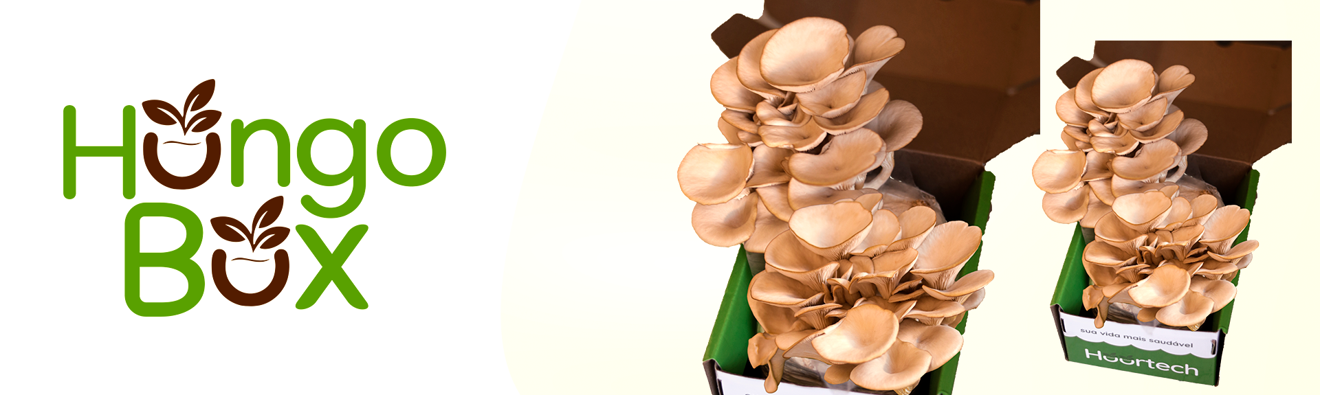 INO_Banner_Hoortech_1920x575px